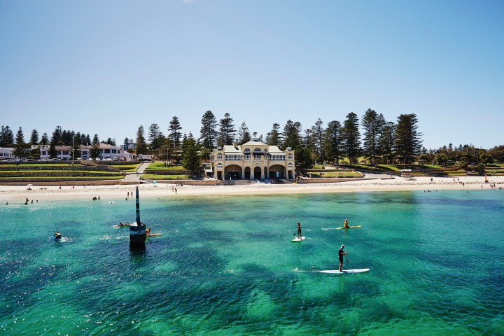 Beach scene with paddleboarders and a building surrounded by trees in the background.