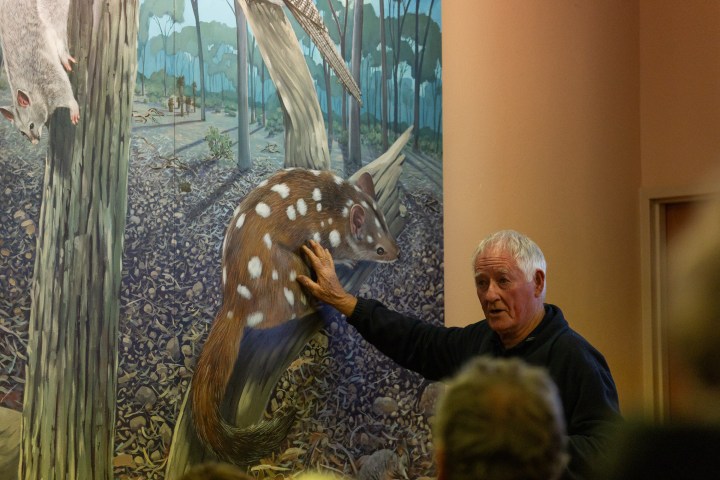 Man gestures at a mural with a quoll in a forest setting during a presentation.