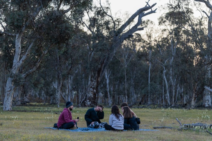 Group sitting on blanket in a forest clearing at dusk, surrounded by trees.