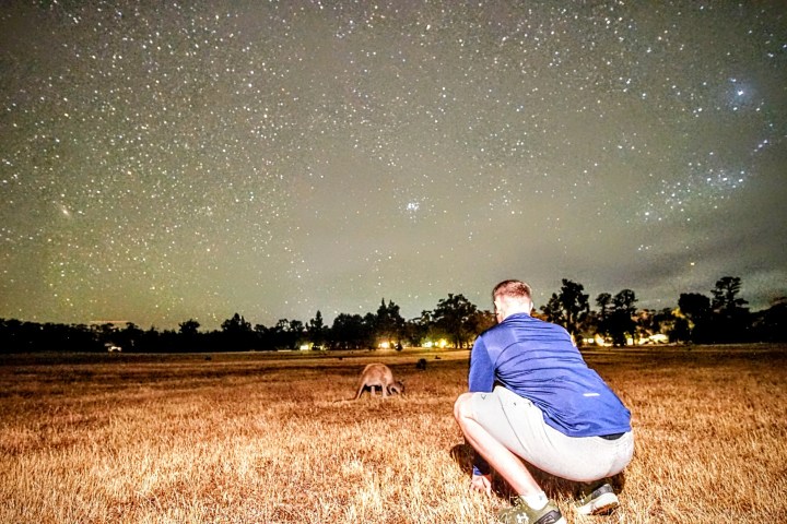 Person crouching in a field under a starry sky at night with a kangaroo in the distance.